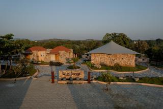 Wild Forest Sasan Gir Wildlife sanctuary - 9