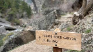 Cozy Cabin Perfect for a Romantic Escape with BBQ in Dayton, Wyoming - 5