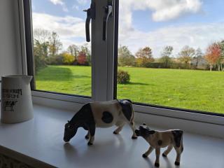 2 Bed in Hinton Blewett oc-g34070 - 9