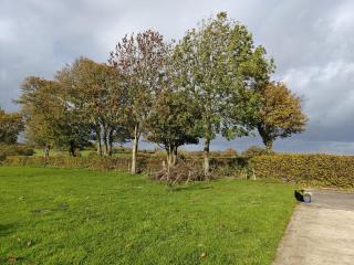 2 Bed in Hinton Blewett oc-g34070 - 7