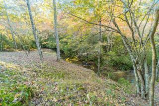Lazy Bear Cottage With Hot Tub - 9