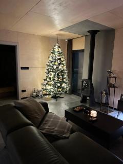 Houseboat with touch of luxury - 8