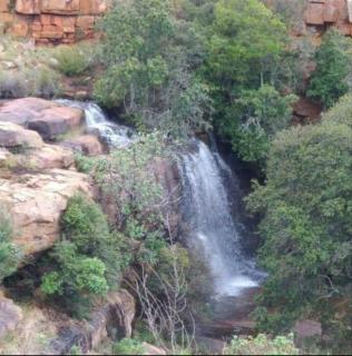 AmaZeng chalet Wolf - 6