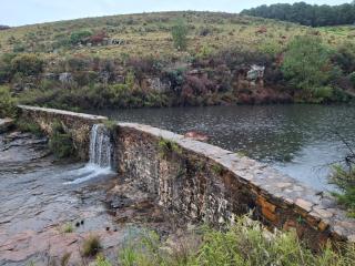 AmaZeng chalet Wolf - 3