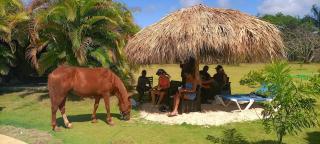 Eco Lodges, Chalets Tropicales, Macao Beach, Bávaro, Punta Cana - 6