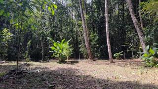 Goiabeira Village - 0