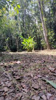 Goiabeira Village - 1