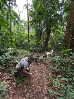 Fazenda Encantado - 1