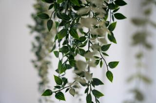 Murleben Appartements - 8