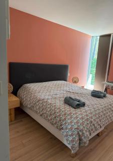 Beautiful villa under pine trees heated pool - 6