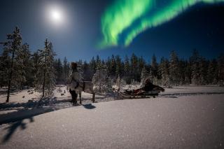 Arctic Bear Resort - Lapland - Aurora suite - Sauna - Northern Lights - 5