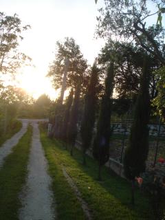 Agriturismo La Fattoria - San Donato Val di Comino - 8