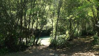 Attic loft with park in the shadow of the Dolomites - 9