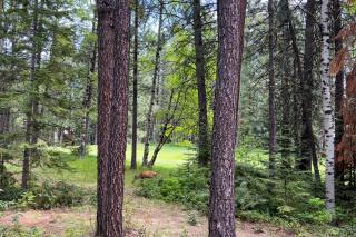 Black Butte Ranch SM79 - 5