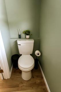 Radiant Stargazing Bell Tent Oasis Near Sinking Creek, Missouri - 1