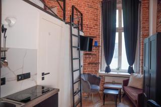 Cozy Brick Studio Centrum - Łódź - 3