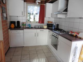 Die Muschelfinder - 7