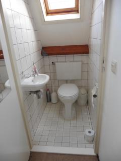 Die Muschelfinder - 2