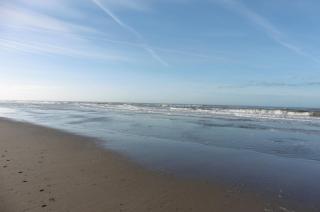 Die Muschelfinder - 1