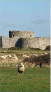 The Sand Dunes 4 minutes walk from sandy beach - 2