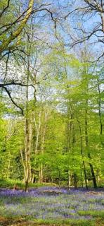 The Sand Dunes 4 minutes walk from sandy beach - 3