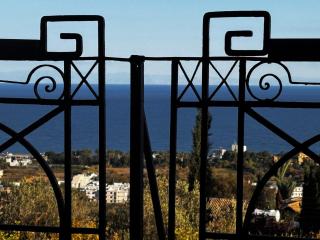 A historic STONE VILLA with private garden, terrace and private pool just for you - 7