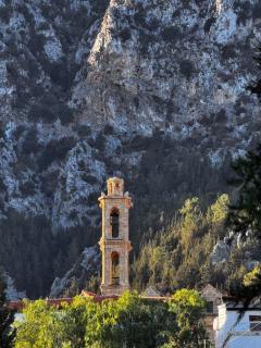 A historic STONE VILLA with private garden, terrace and private pool just for you - 6