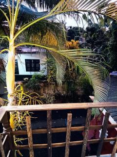 Villa lovely birds mirissa - 6