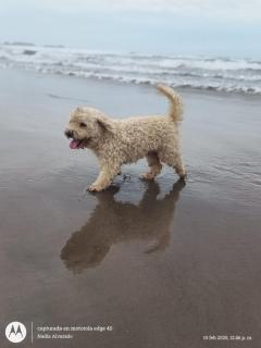 Casa cerca a la playa - 8