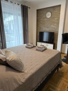 Apartman Banjac - 8