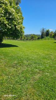 Cabaña Panguipulli - Sector Altos de Palguin - 7