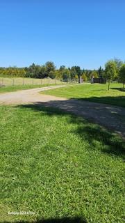 Cabaña Panguipulli - Sector Altos de Palguin - 5