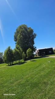 Cabaña Panguipulli - Sector Altos de Palguin - 4