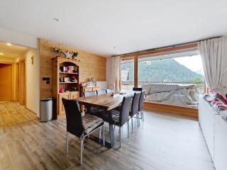 Mont Royal ROA0102 CHARMING & COSY 6 pers - 8