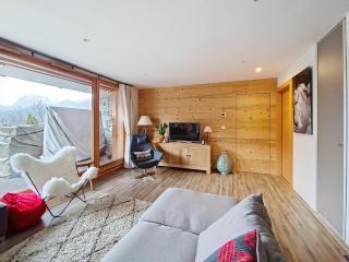 Mont Royal ROA0102 CHARMING & COSY 6 pers - 2