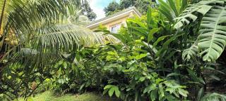 Martinique La petite maison dans la Colline - 5