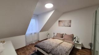 Family & Business Apartment Erlangen, Siemens & Uni Nähe - 6