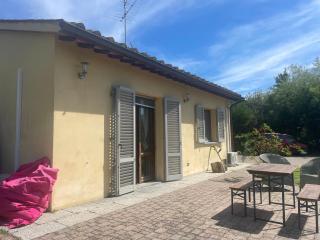 Under The Tuscan Trees - Rabatta - 7