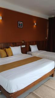 Holly House Homestay - 3