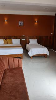 Holly House Homestay - 6