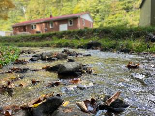 Deer Run Creek Cottage - 8