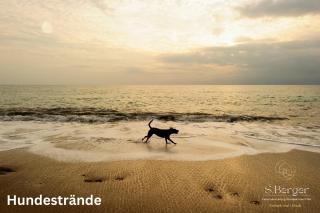 Inselliebe unter Reet - Wyk auf Föhr - 7