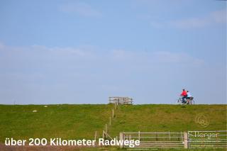 Inselliebe unter Reet - Wyk auf Föhr - 6