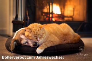 Inselliebe unter Reet - Wyk auf Föhr - 5