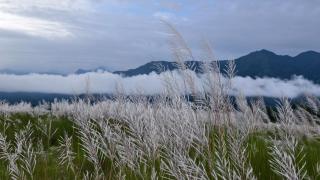 AALTAPORI HOMESTAY- BEST HOMESTAY in BUXA-JAYANTI - 5