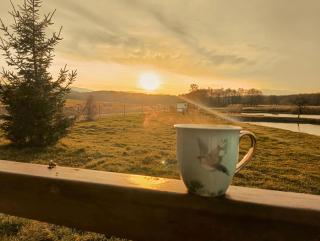 Chatka nad Stawami - 3