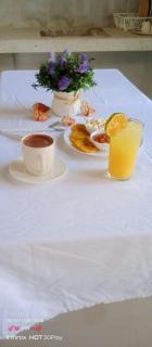 El legado de las olas - 7