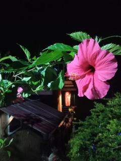 NETHSARA cottage - 0