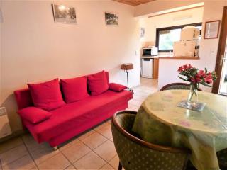 L'ecureuil - Soustons - 7