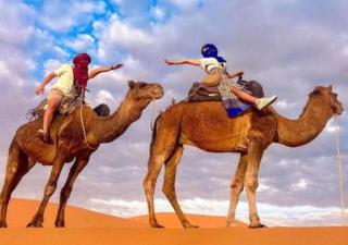 Moroccan luxury camp - 6